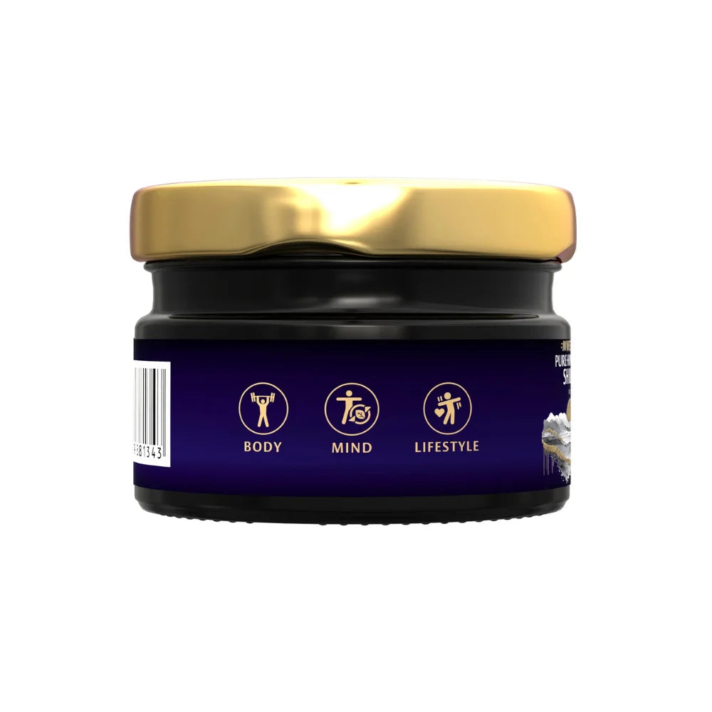 Big Muscles Shilajit 20g