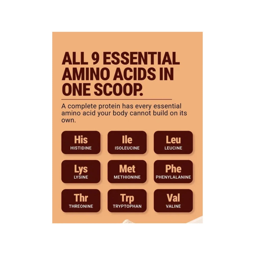 Absolute Nutrition Yeast Protein Isolate