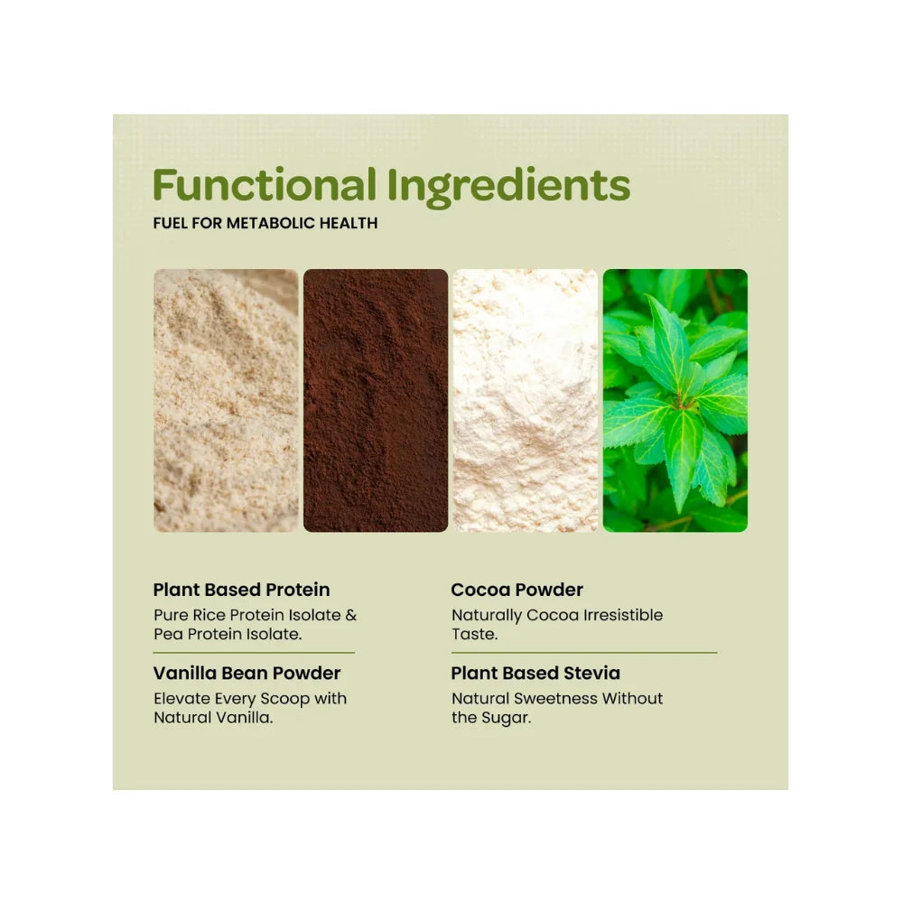 big muscles plant protein belgian chocolate 1kg ingredients