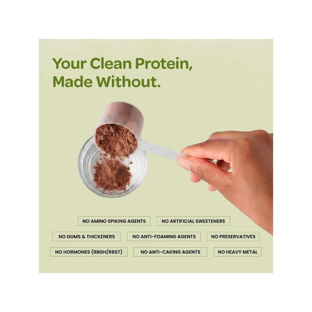 Big Muscles Plant Protein Isolate